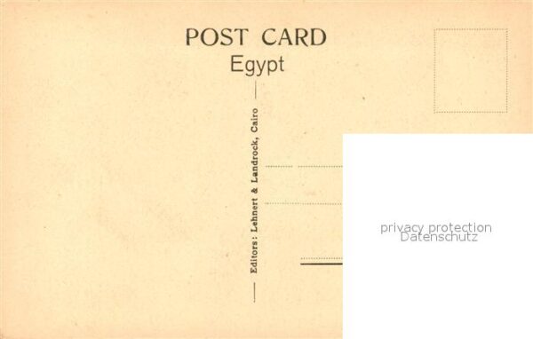 Sakkara Saqqarah Tomp of Ptahotep Mural Decoration – Bild 2
