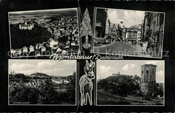 Montabaur Westerwald Sommerwiese Schloss Wolfsturm Großer Ma