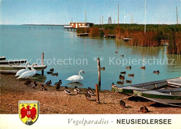 Burgenland Oesterreich Vogelparadies Neusiedlersee
