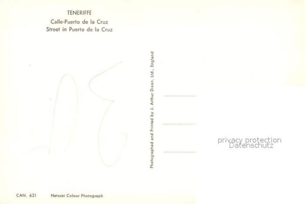 Puerto de la Cruz Ortsmotiv – Bild 2