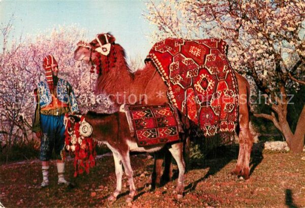 Alanya The Camel Turkey