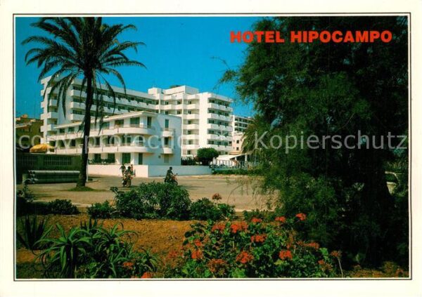 Cala Millor Mallorca Hotel Hipocampo