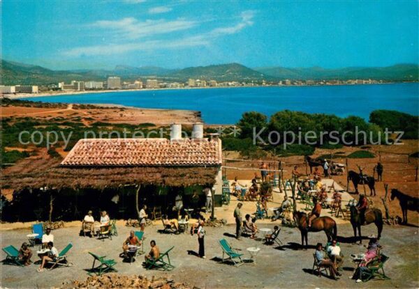 Cala Millor Mallorca Bar Castell Pferde