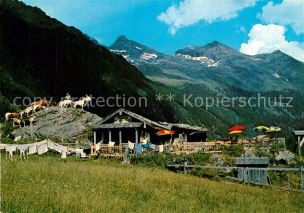 Schladming Obersteiermark Untertal Gf?lleralm am Riesachsee Hohe
