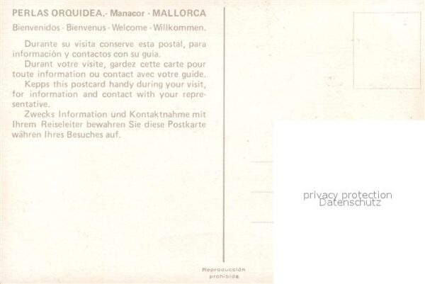 Manacor Perlas Orquidea – Bild 2
