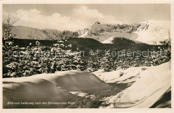Schneegruben Winterpanorama Blick vom Leiterweg nach