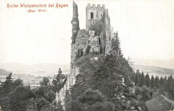 Regen Ruine Weissenstein