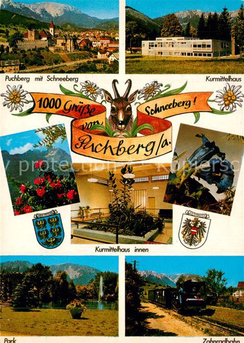 Puchberg Schneeberg Panorama mit Schneeberg Kurmittelhaus P