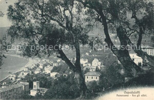 Ospedaletti Panorama