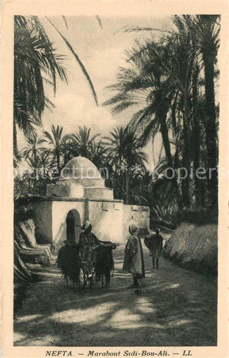 Nefta Marabout Sidi Bou Ali