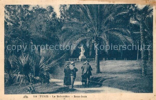 Tunis Le Belvedere Sous bois