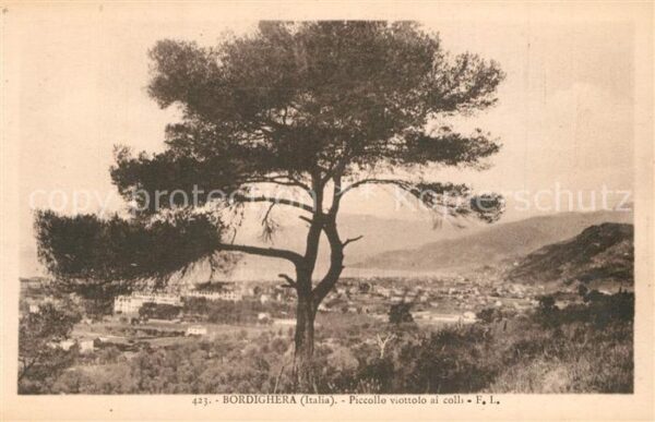 Bordighera Piccollo viottolo ai colli