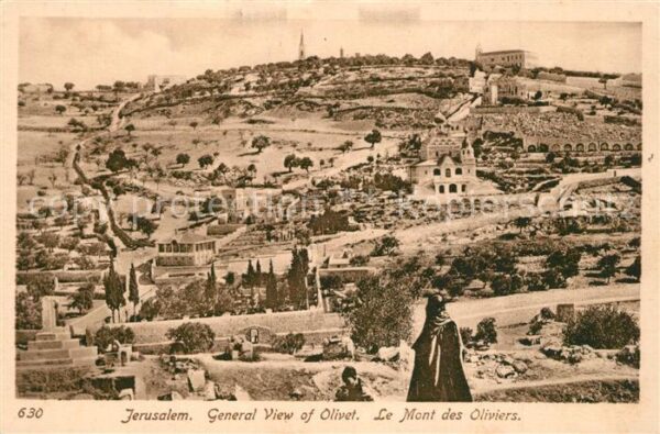 Jerusalem Yerushalayim Panorama Olivet