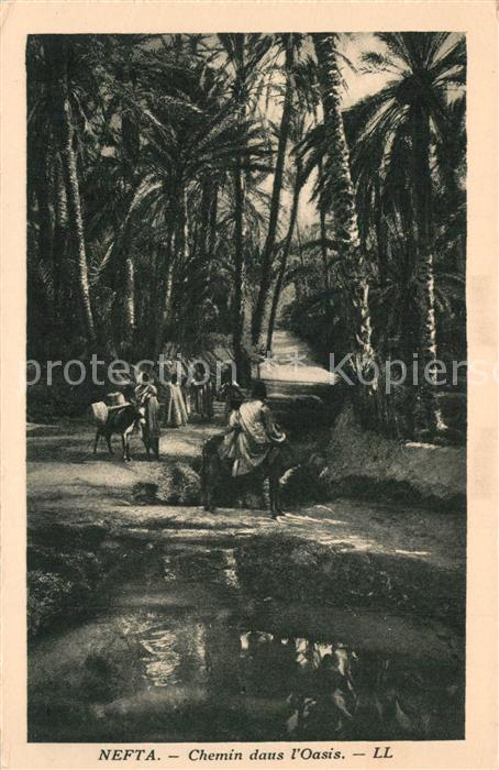 Nefta Chemin dans Oasis