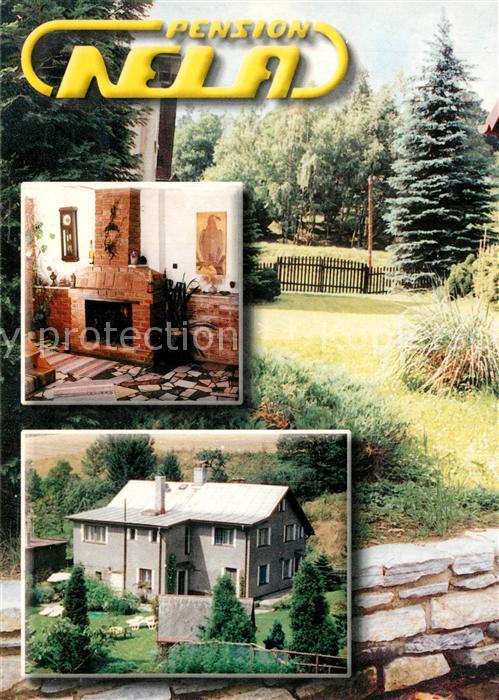 Jesenik Pension Nela Kamin Garten