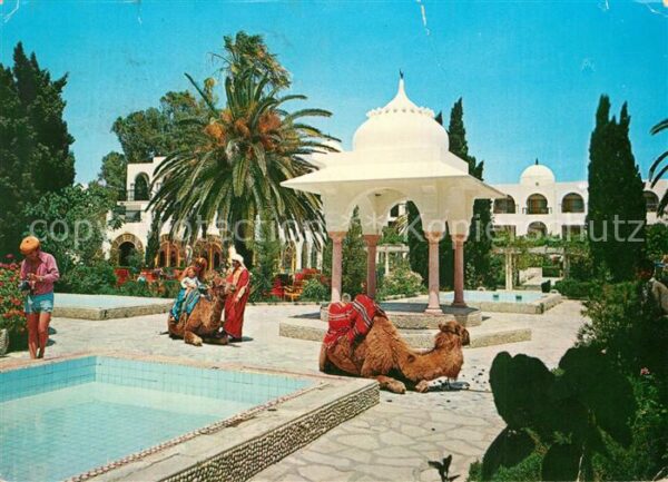 Hammamet Hotel Fourati Swimming Pool Kamele