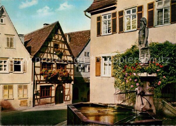 Marbach Neckar Schiller's Geburtshaus Wilder Mann Brun