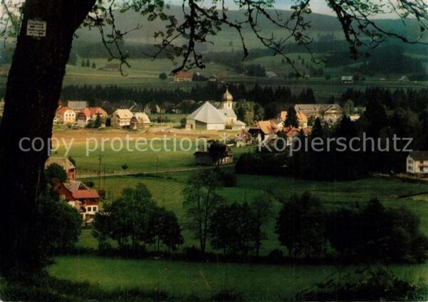 Hinterzarten Ansicht vom Waldrand aus Blick zur Kath
