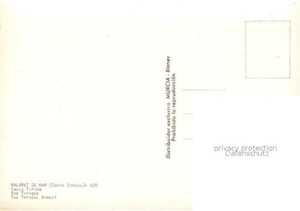 Malgrat de Mar Calle típica Esel Lasttier – Bild 2
