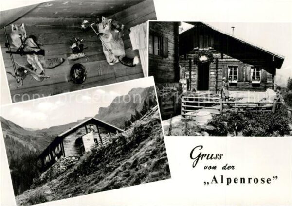 Mayrhofen Zillertal Jausenstation Alpenrose am Weg zur Ahor