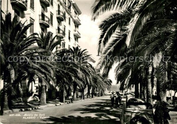 ALASSIO Savona Liguria IT Palmizi Palmen Riviera dei fiori