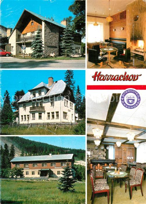 Harrachov Harrachsdorf Hotel Hubertus Details