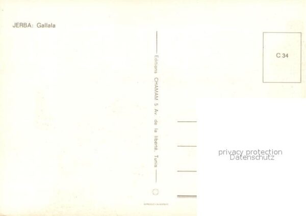 Jerba Gallala – Bild 2