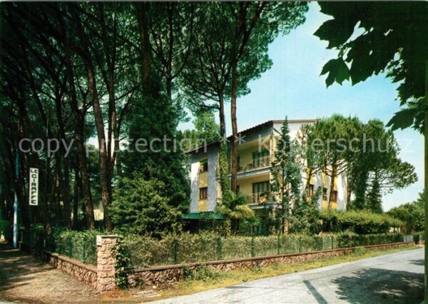 Fiumetto Pietrasanta Hotel Pensione Le Giraffe