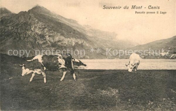 Susa Italia Mont Genis Pascolo presso il Lago