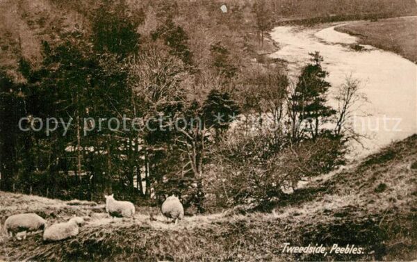 Peebles UK Tweedside