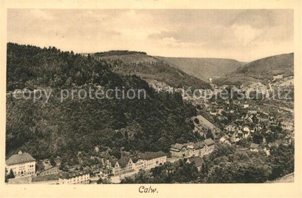 Calw Panorama