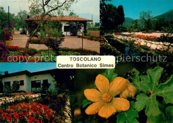 Toscolano Maderno Lago di Garda Centro Botanico Simes