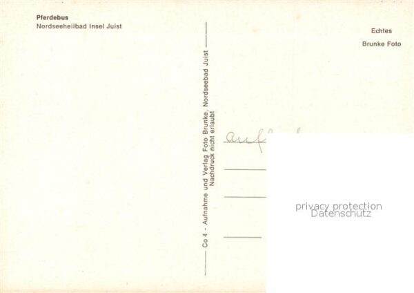 Insel Juist Pferdebus – Bild 2