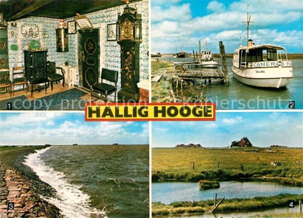 Hallig Hooge Königspesel Hafen Schleuse Deich Wester