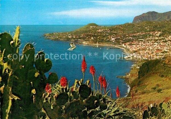 Funchal Vista Oeste
