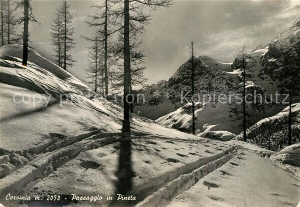 Cervinia Aosta Passaggio in Pineta