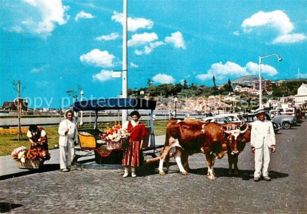 Funchal Vendedeiras de flores e carro de bois