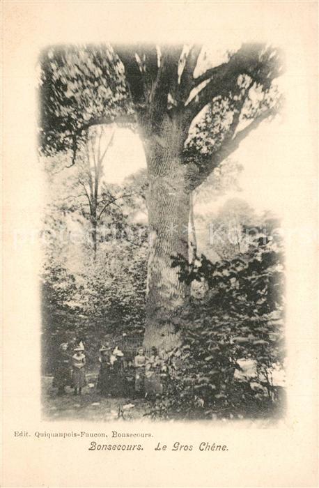 Bonsecours Belgien Le Gros Chêne Arbre