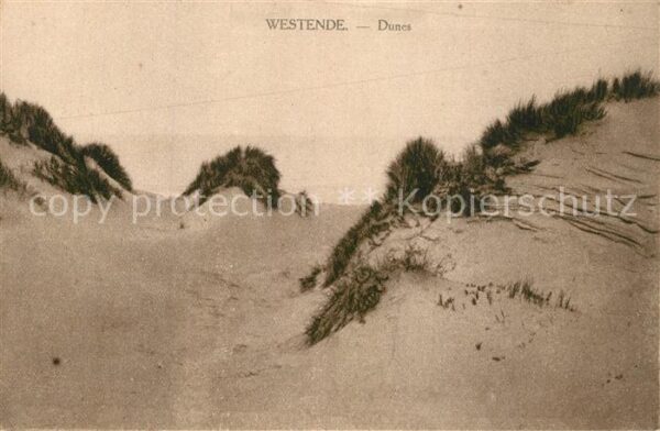 Westende Dunes