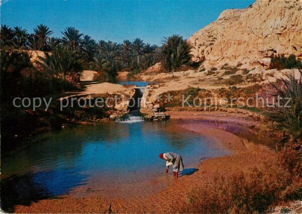 Gabes Oasis