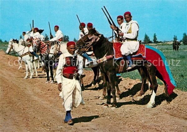 Tunis Cavaliers Zlass