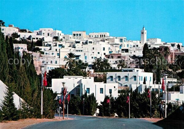 Sidi Bou Said Vue Panoramique
