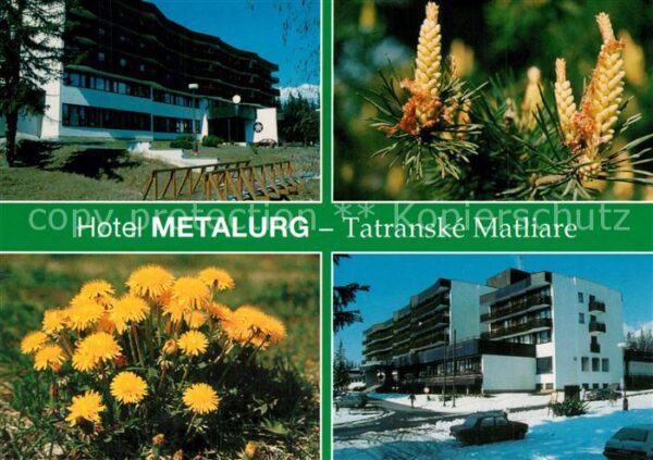 Tatranske Matliare Hotel Metalurg Borovica v kvete Pupava