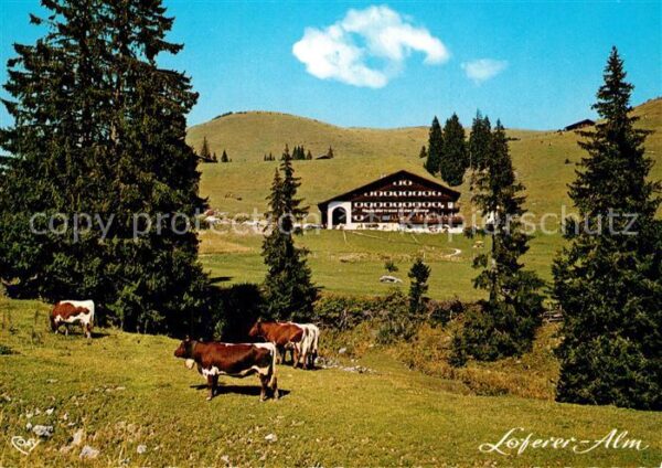 Lofer Haus Gertraud in der Sonne Loferer Alm