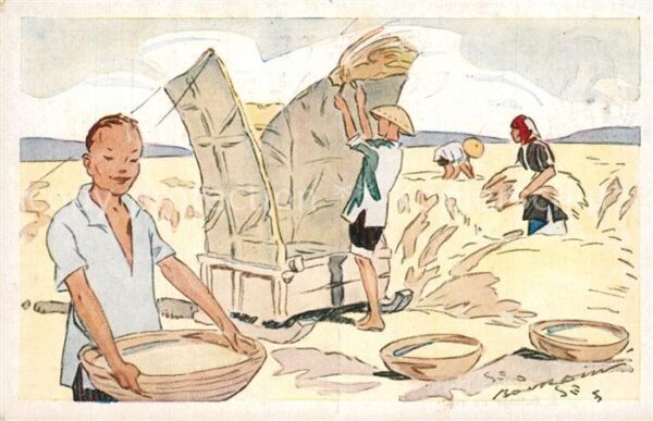 Ernte Landwirtschaft Riz d_Indo-Chine Battage