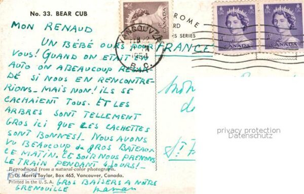 Bueren Bear Cub Canada – Bild 2