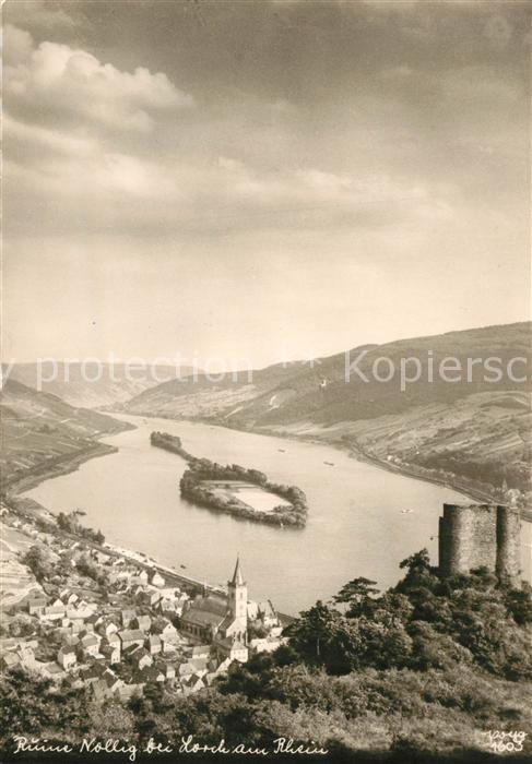 Foto Popp Nr. 1603 Ruine Nollig Lorch am Rhein