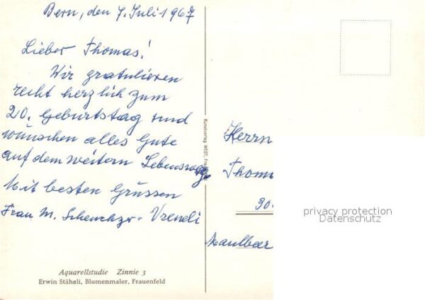 Blumen Zinnie Aquarell Erwin St?heli – Bild 2