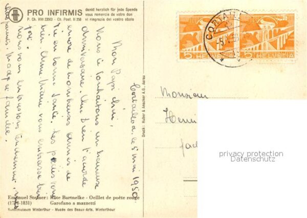 Kuenstlerkarte Emanuel Steiner Rote Bartnelke – Bild 2