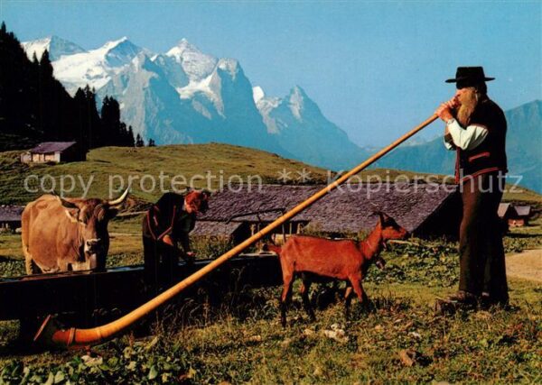 Alphorn Alphornbl?ser Wetterh?rner Eiger Ziege